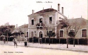 DJELFA - LA MAIRIE